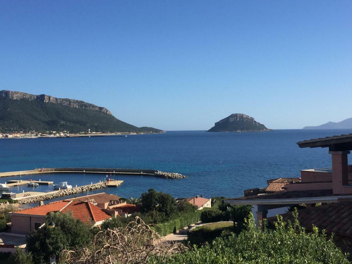 Blue Portrait House Golfo Aranci