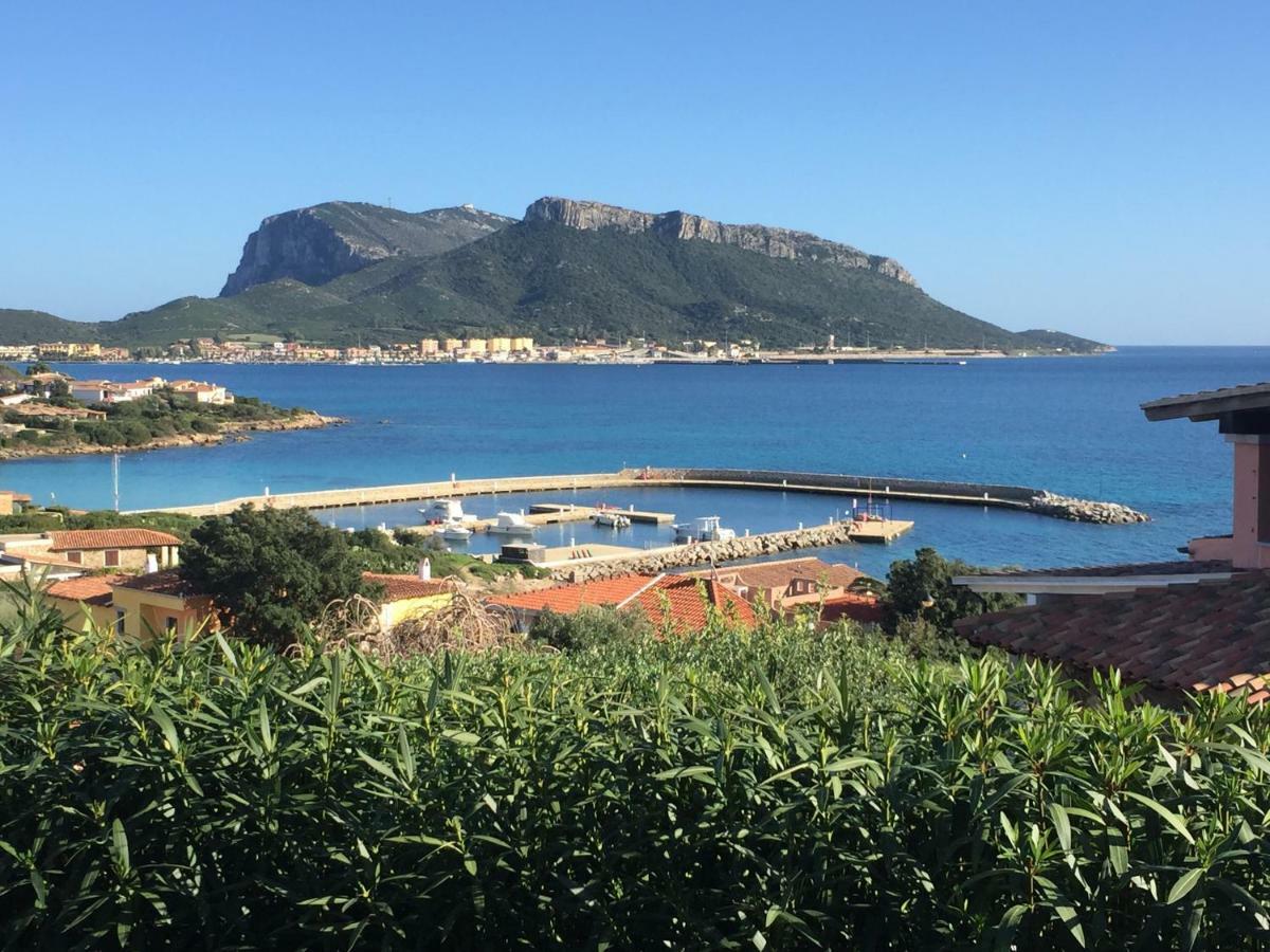 Blue Portrait House Apartment Golfo Aranci