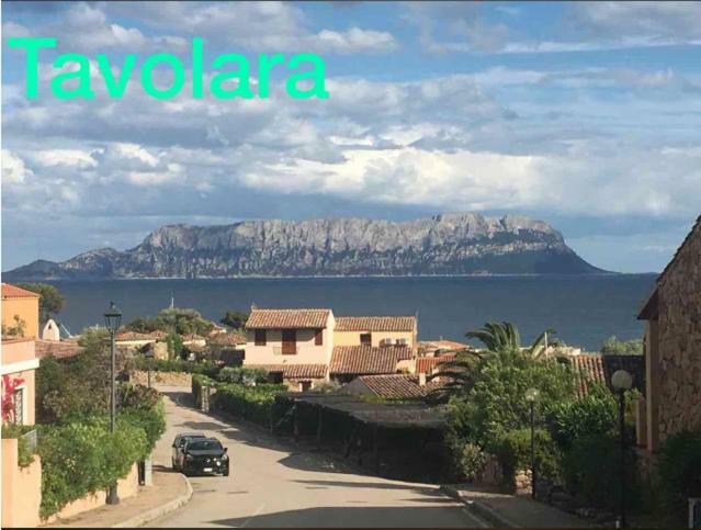 Apartment Blue Portrait House Golfo Aranci